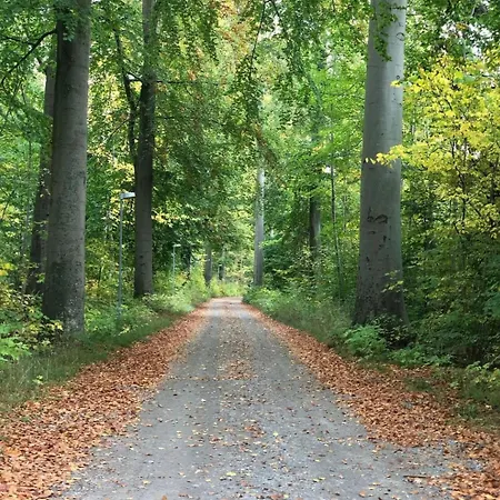 ホームステイ Gaestehuset Rosenvang