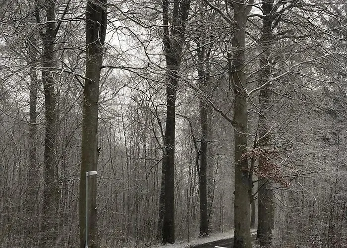 Gaestehuset Rosenvang Bogense